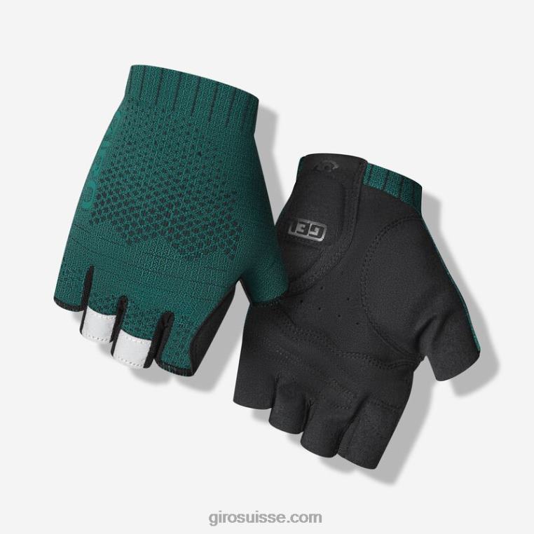 véritable épicéa 00N84N852 Hommes gant de route xnetic Giro